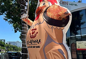 도도한 삼계탕 사진 3